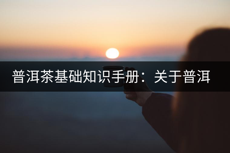 普洱茶基礎(chǔ)知識(shí)手冊(cè)：關(guān)于普洱茶的“六辨”