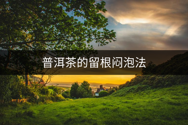 普洱茶的留根悶泡法 普洱茶的留根悶泡法