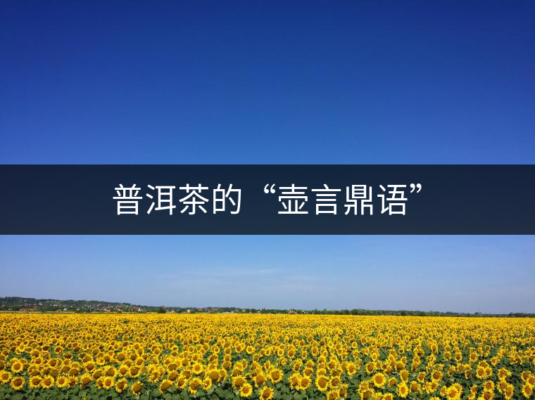 普洱茶的“壺言鼎語” 普洱茶的“壺言鼎語”