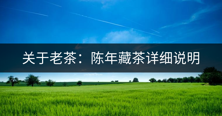 關(guān)于老茶：陳年藏茶詳細(xì)說(shuō)明