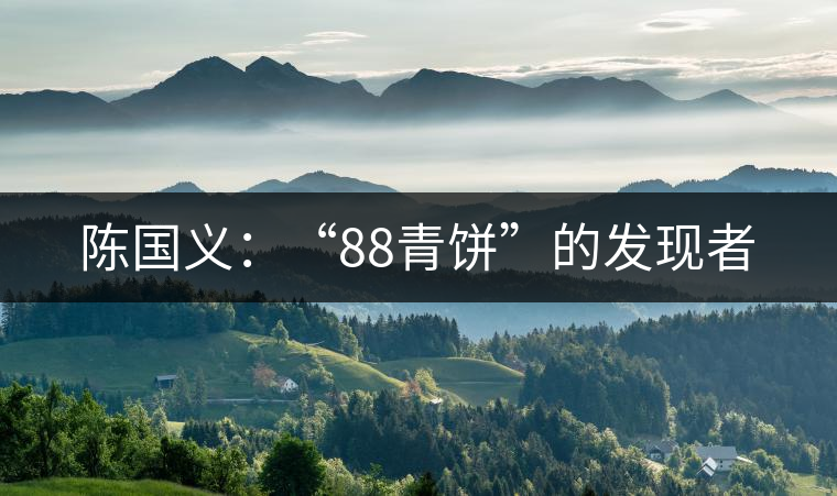 陳國義：“88青餅”的發(fā)現者