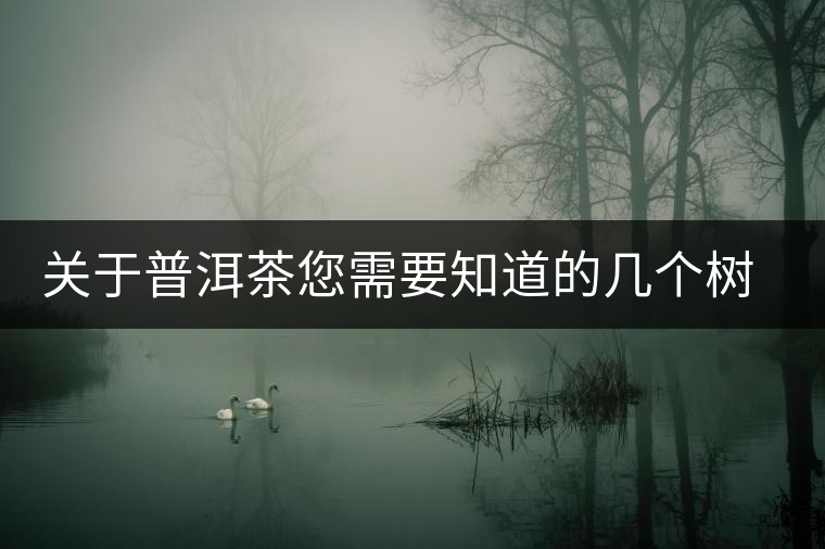 關(guān)于普洱茶您需要知道的幾個(gè)樹(shù)種