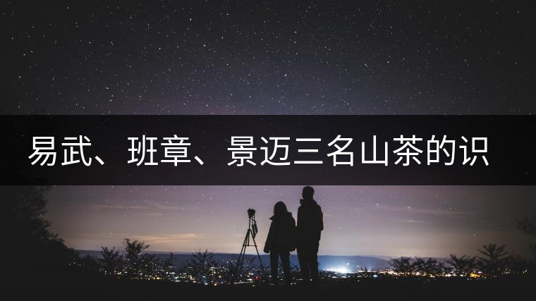 易武、班章、景邁三名山茶的識(shí)別