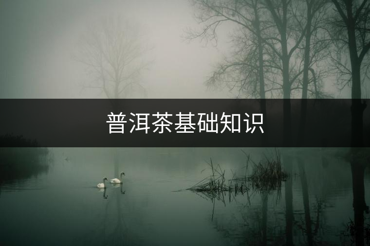 普洱茶基礎(chǔ)知識(shí) 普洱茶基礎(chǔ)知識(shí)