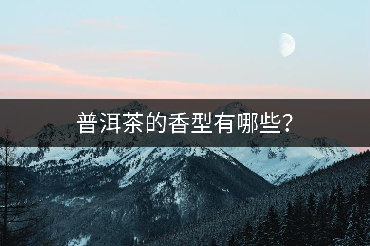 普洱茶的香型有哪些？