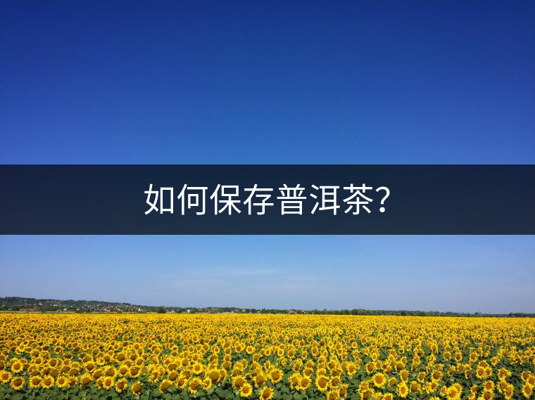 如何保存普洱茶？