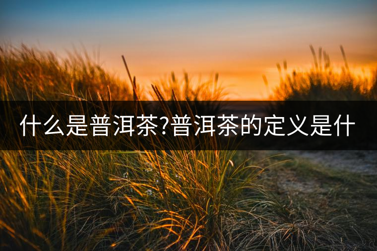 什么是普洱茶?普洱茶的定義是什么? 什么是普洱茶?普洱茶的定義是什么?