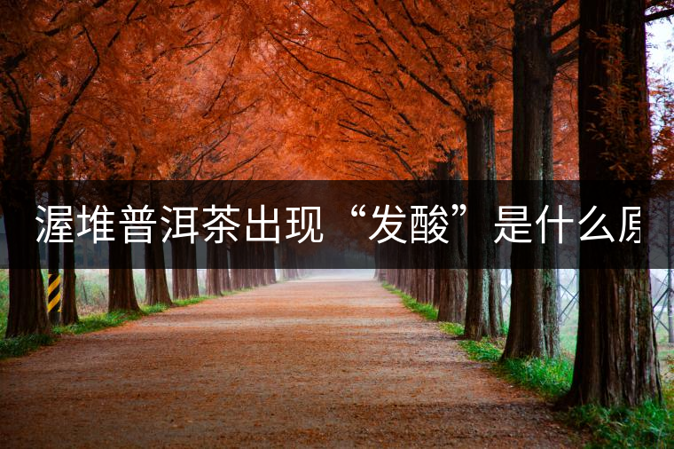 渥堆普洱茶出現(xiàn)“發(fā)酸”是什么原因？