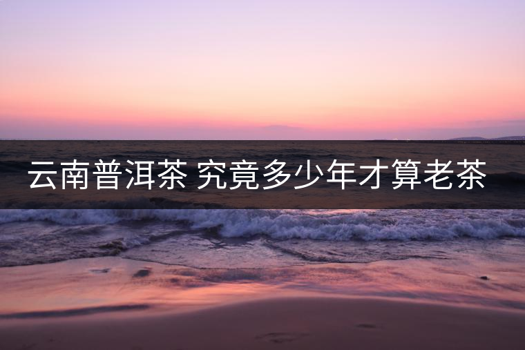 云南普洱茶 究竟多少年才算老茶樹(shù)?