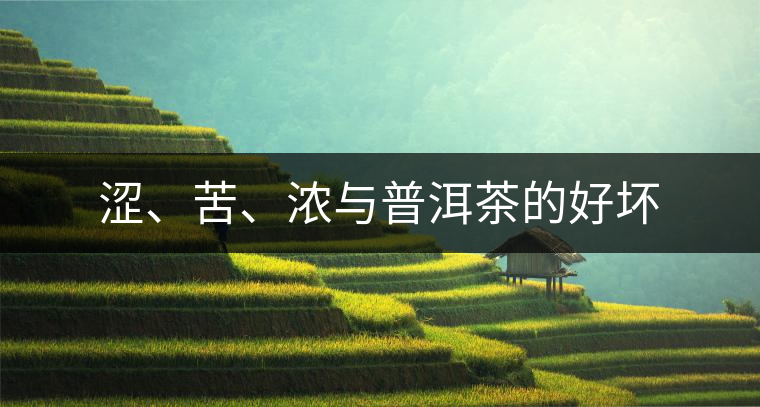 澀、苦、濃與普洱茶的好壞