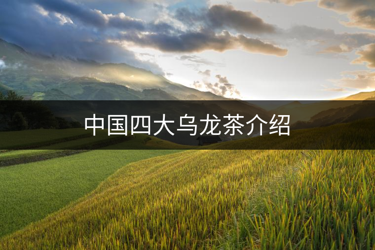 中國(guó)四大烏龍茶介紹 中國(guó)四大烏龍茶介紹