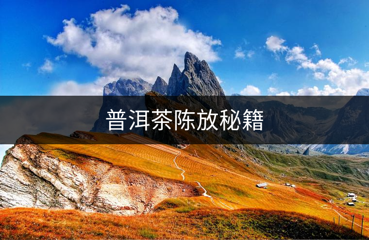 普洱茶陳放秘籍 普洱茶陳放秘籍