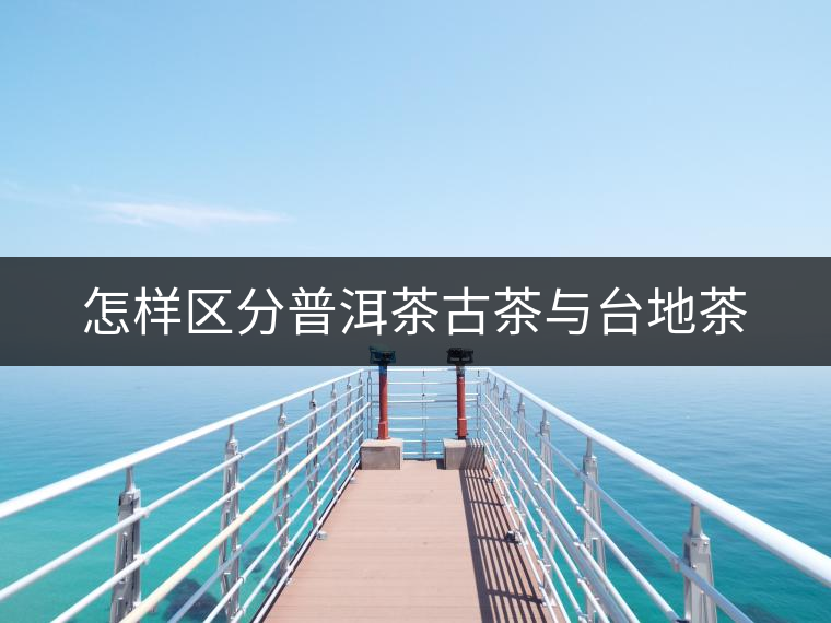 怎樣區(qū)分普洱茶古茶與臺地茶 怎樣區(qū)分普洱茶古茶與臺地茶