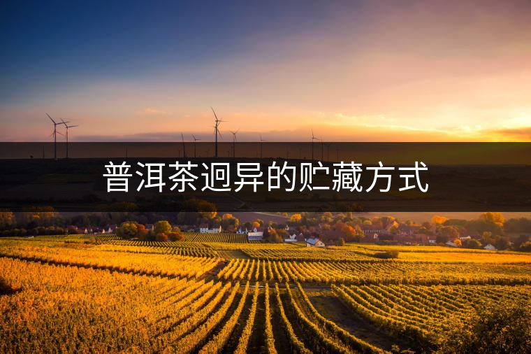 普洱茶迥異的貯藏方式 普洱茶迥異的貯藏方式