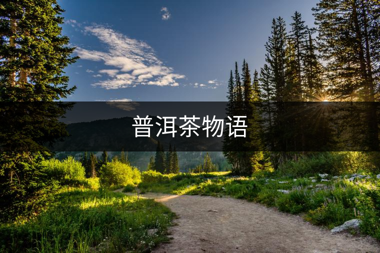 普洱茶物語 普洱茶物語