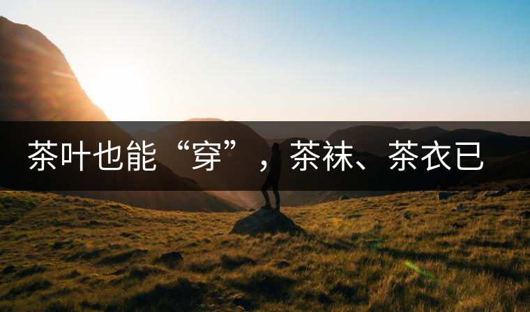 茶葉也能“穿”，茶襪、茶衣已進(jìn)入研發(fā)階段