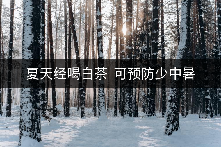 夏天經(jīng)喝白茶 可預(yù)防少中暑 夏天經(jīng)喝白茶 可預(yù)防少中暑