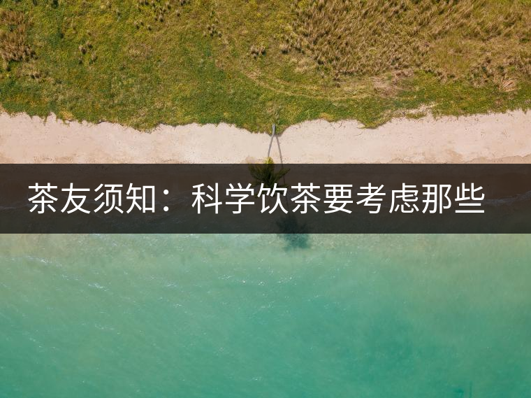 茶友須知：科學飲茶要考慮那些因素？
