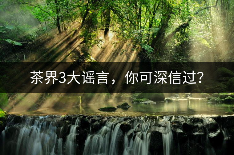 茶界3大謠言，你可深信過？