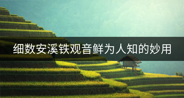 細(xì)數(shù)安溪鐵觀音鮮為人知的妙用 細(xì)數(shù)安溪鐵觀音鮮為人知的妙用