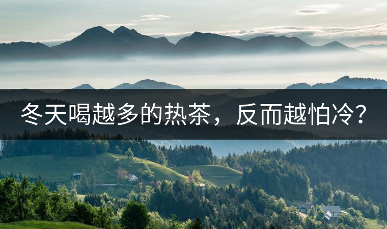 冬天喝越多的熱茶，反而越怕冷？