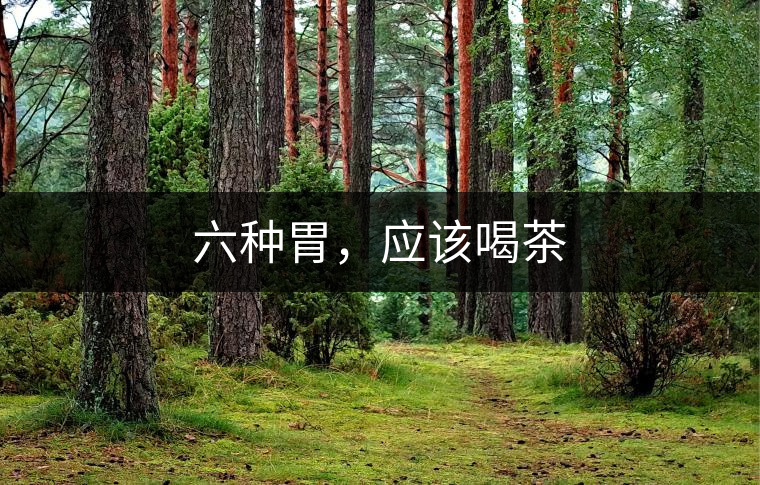 六種胃，應(yīng)該喝茶