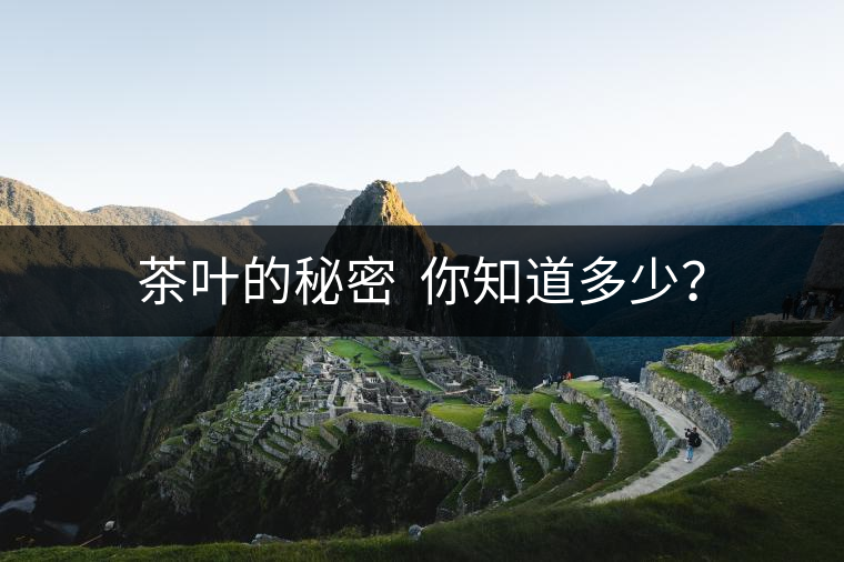 茶葉的秘密  你知道多少？