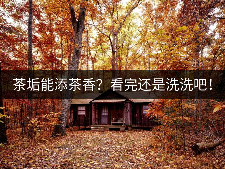 茶垢能添茶香？看完還是洗洗吧！