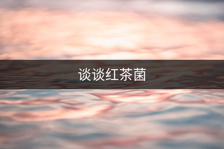 談?wù)劶t茶菌 談?wù)劶t茶菌