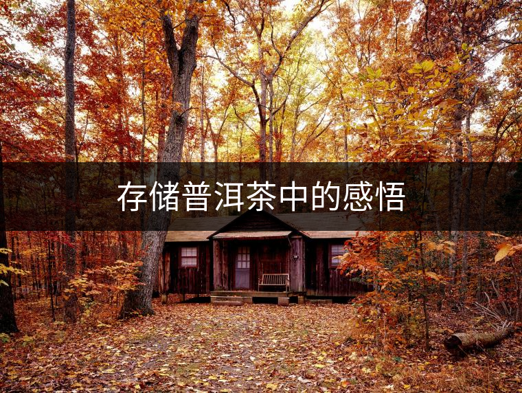 存儲(chǔ)普洱茶中的感悟 存儲(chǔ)普洱茶中的感悟
