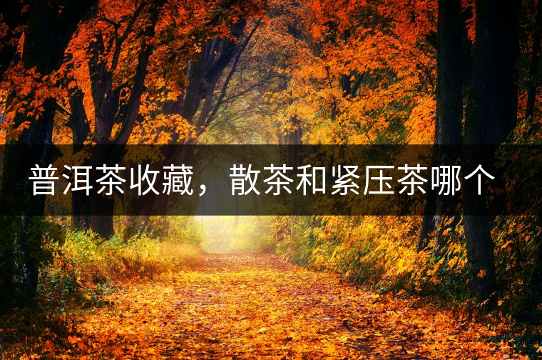 普洱茶收藏，散茶和緊壓茶哪個更好？