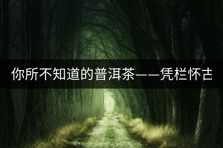 你所不知道的普洱茶——憑欄懷古（上）