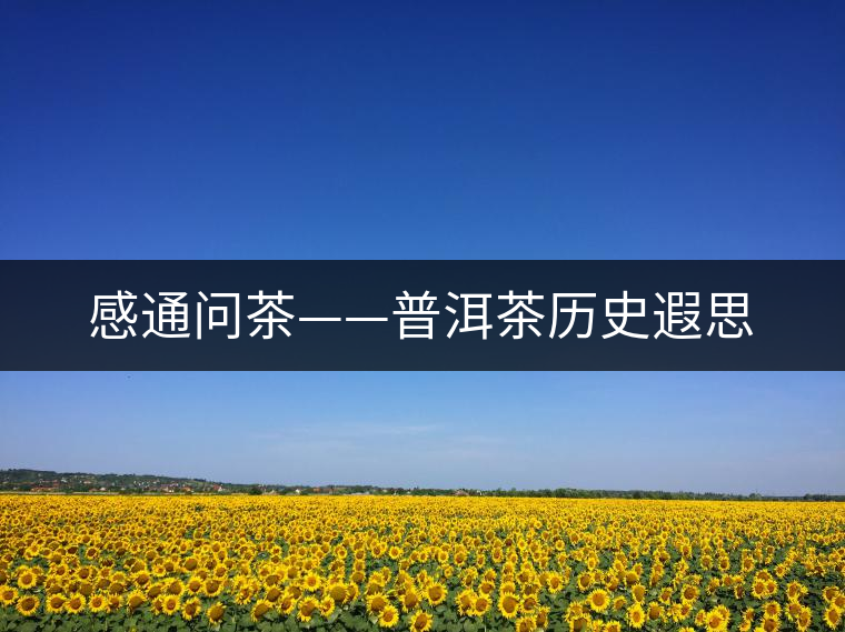 感通問(wèn)茶——普洱茶歷史遐思