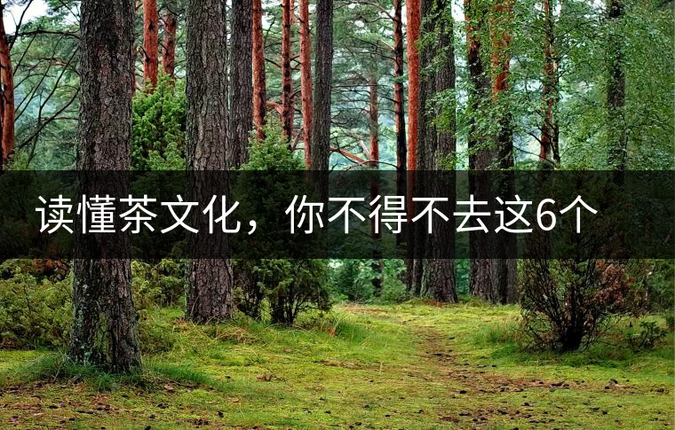 讀懂茶文化，你不得不去這6個(gè)城市