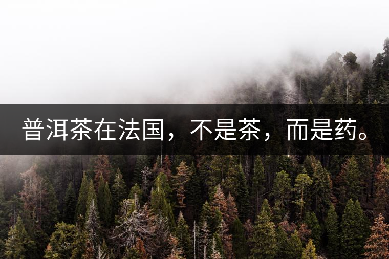 普洱茶在法國，不是茶，而是藥。