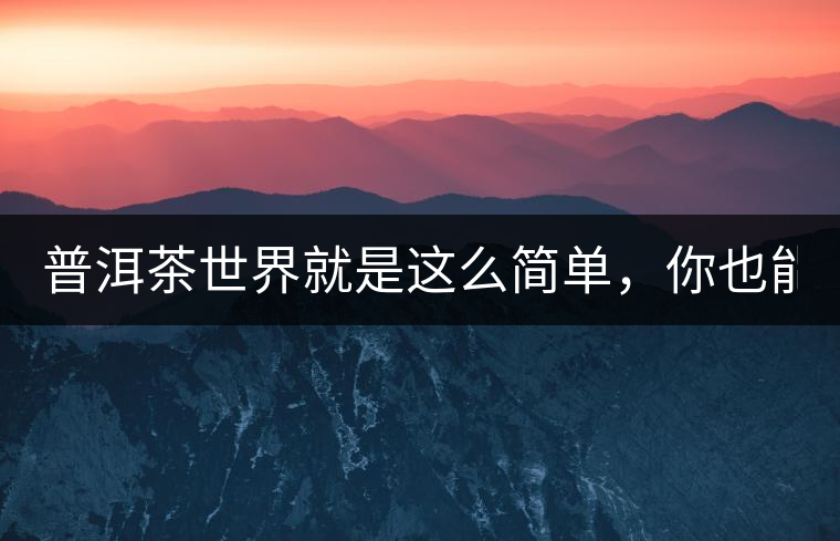 普洱茶世界就是這么簡單，你也能懂！