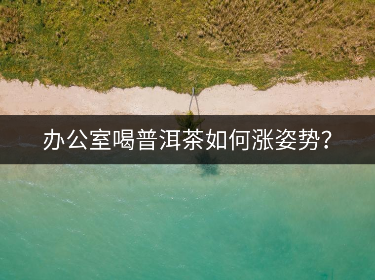 辦公室喝普洱茶如何漲姿勢(shì)？