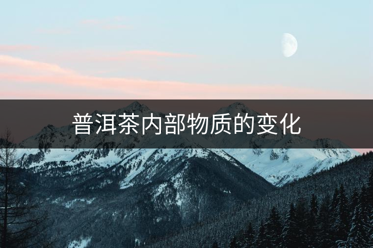 普洱茶內部物質的變化