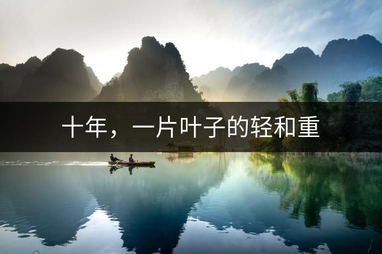 十年，一片葉子的輕和重