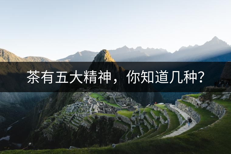 茶有五大精神，你知道幾種？