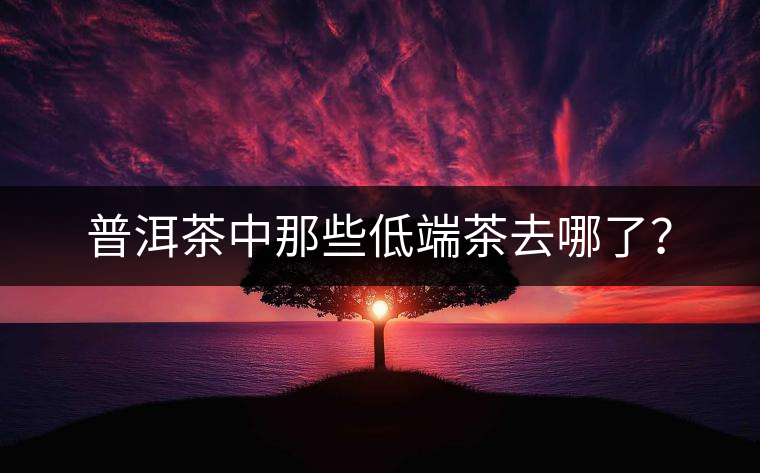普洱茶中那些低端茶去哪了？