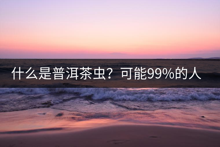什么是普洱茶蟲？可能99%的人都不知道