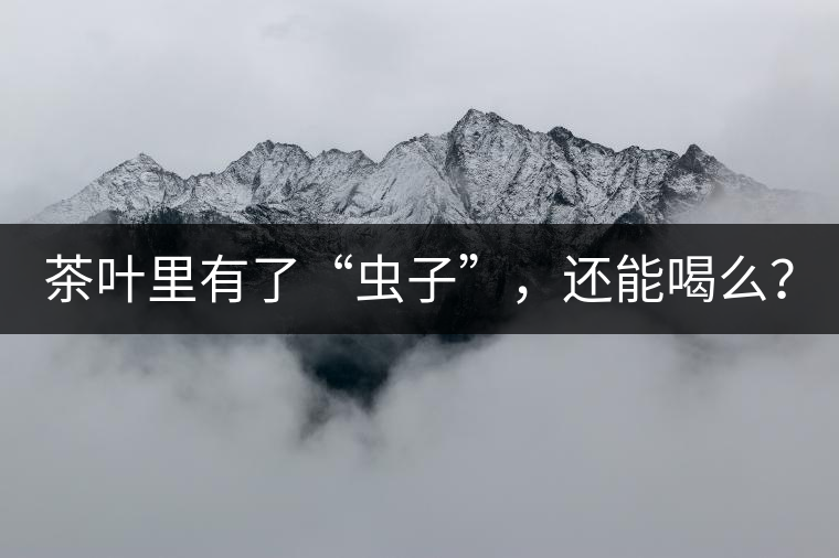 茶葉里有了“蟲(chóng)子”，還能喝么？