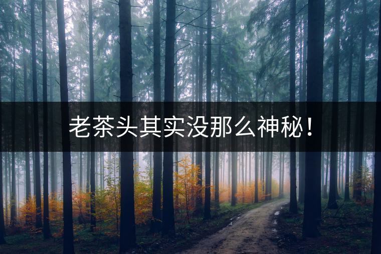 老茶頭其實(shí)沒(méi)那么神秘！