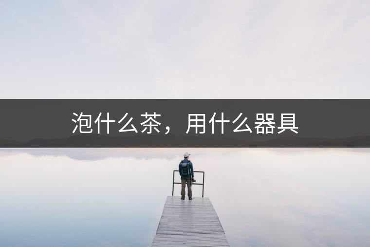 泡什么茶，用什么器具