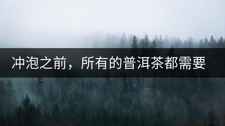 沖泡之前，所有的普洱茶都需要醒茶嗎？