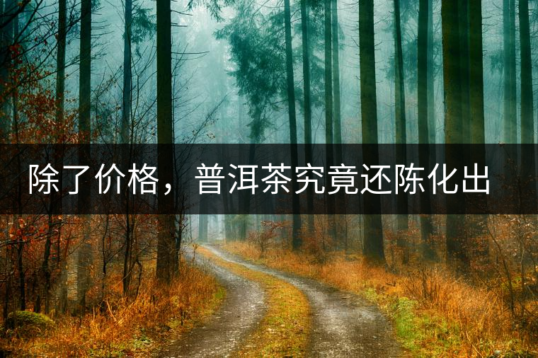 除了價格，普洱茶究竟還陳化出了啥？