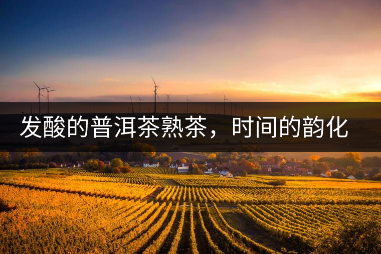 發(fā)酸的普洱茶熟茶，時間的韻化會讓它驚艷無比！