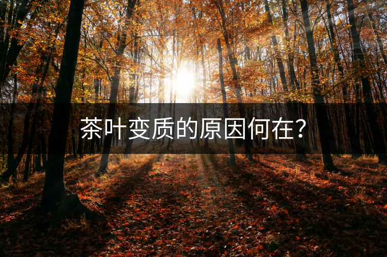 茶葉變質(zhì)的原因何在? 茶葉變質(zhì)的原因何在?