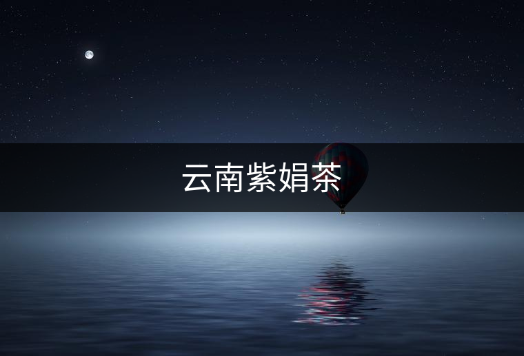 云南紫娟茶 云南紫娟茶